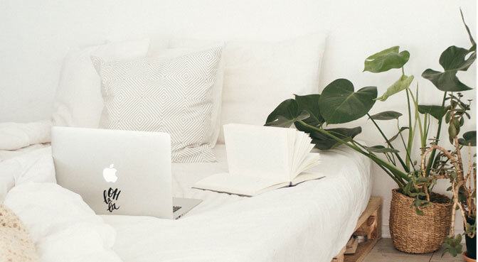 Tác dụng của cây Sấu trong đời sống